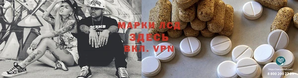 spice Новодвинск