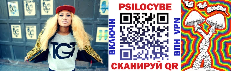 Галлюциногенные грибы Psilocybe  Ленинск 